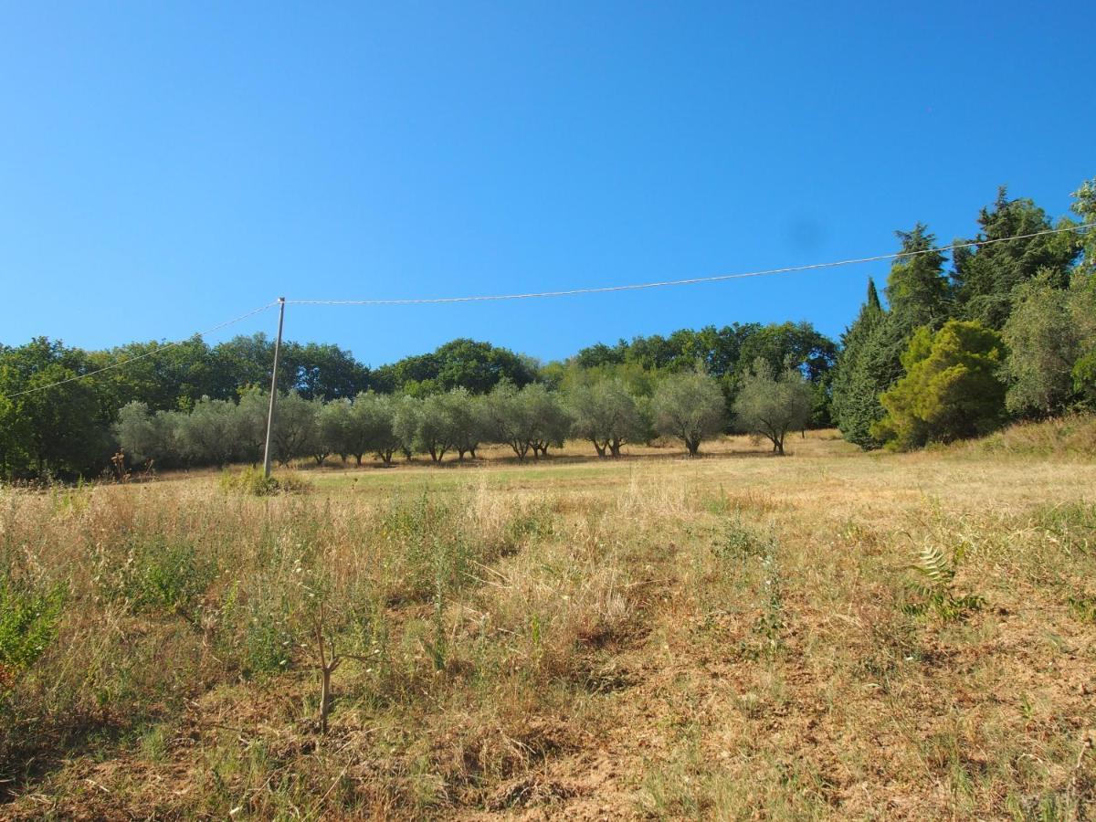 Agriturismo Ardizio 43 Pesaro Buitenkant foto