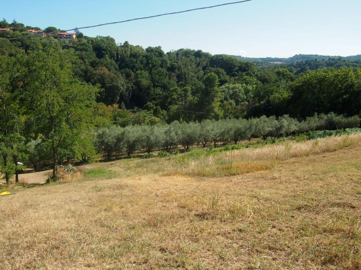 Agriturismo Ardizio 43 Pesaro Buitenkant foto